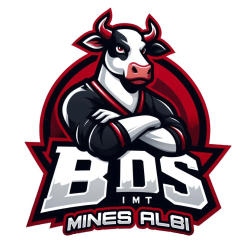 IMT MINES ALBI
