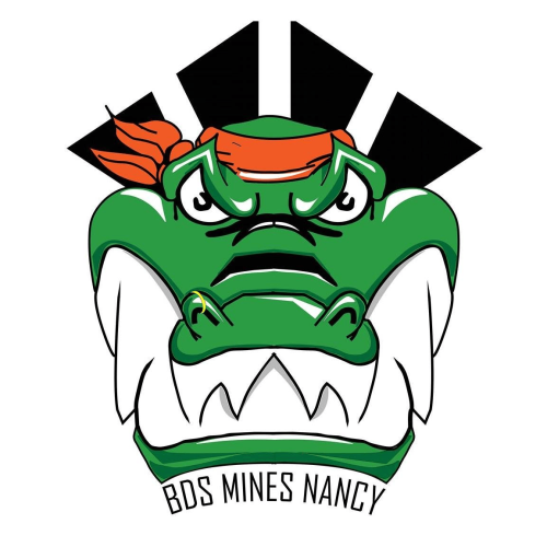 MINES DE NANCY